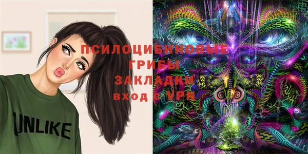 a pvp Белокуриха