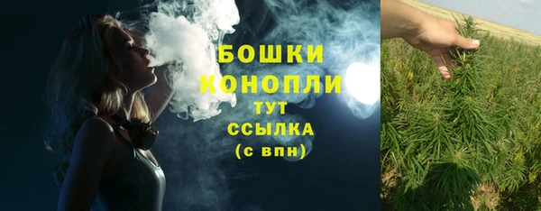 гидропоника Богородск