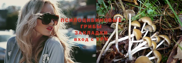 гидропоника Богородск
