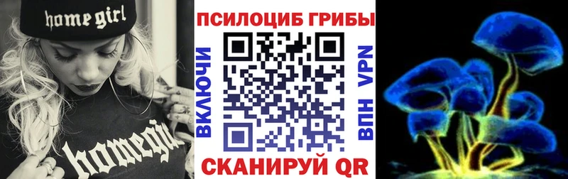 Псилоцибиновые грибы мицелий  darknet телеграм  Нерюнгри 