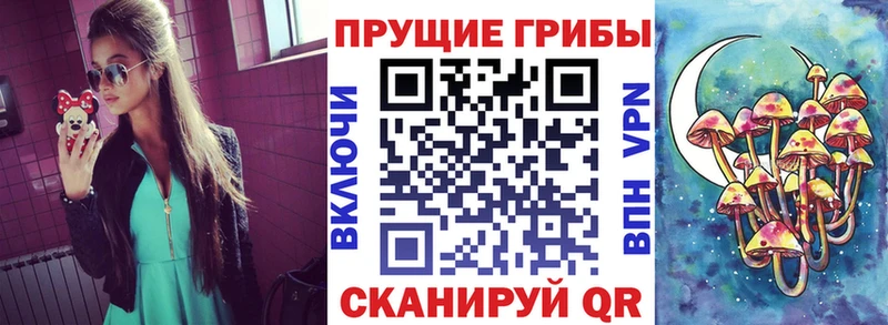 Псилоцибиновые грибы Cubensis Нерюнгри