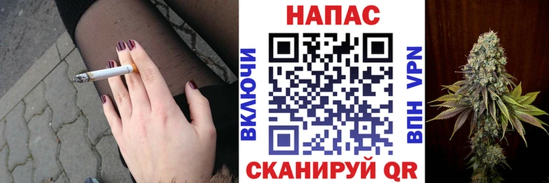 блэк спрут зеркало  Нерюнгри  Бошки Шишки OG Kush 